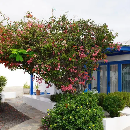 Timfay Corralejo