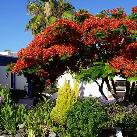 Timfay Corralejo