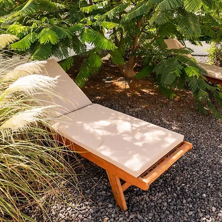 Timfay Κοραλέχο