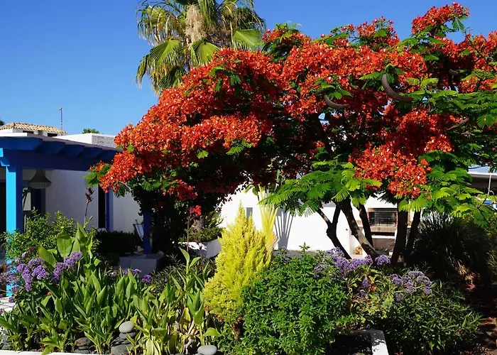 Timfay Corralejo